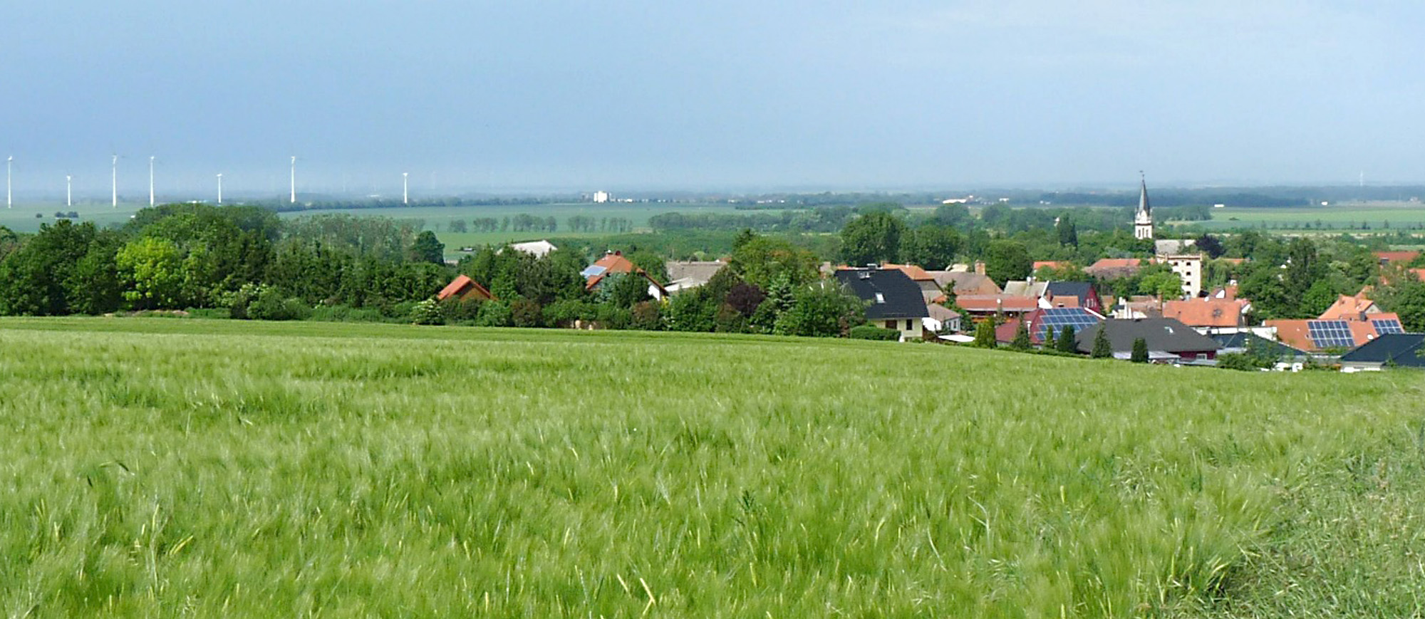 Landesverband für Landschaftspflege SachsenAnhalt